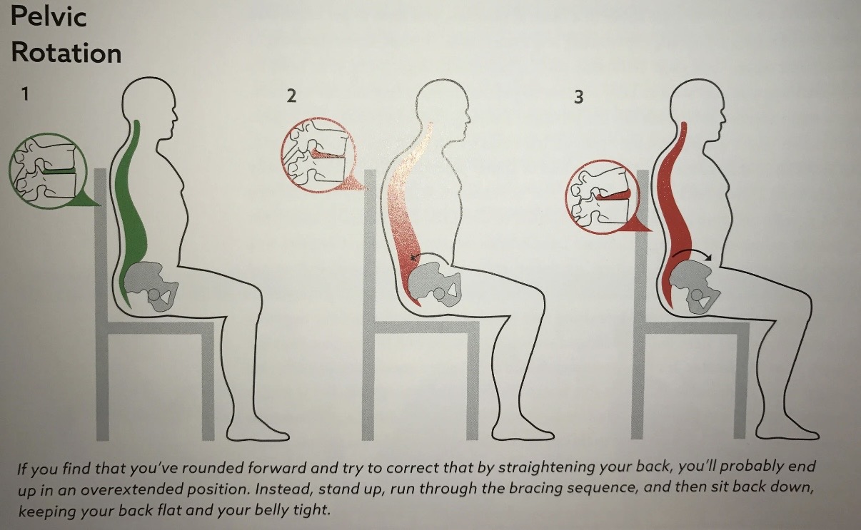 Pelvic rotation diagram showing correct and incorrect seated spine positions