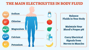You Drink Water But Are You Getting Enough Electrolytes?
